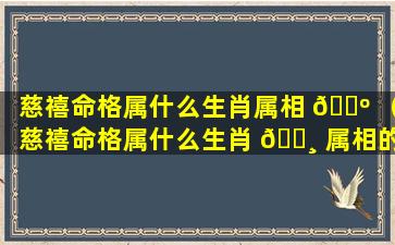慈禧命格属什么生肖属相 🐺 （慈禧命格属什么生肖 🌸 属相的人）